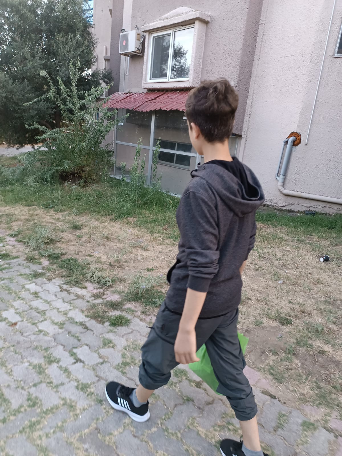 391707849 337361602145843 6198295302108720567 n 1