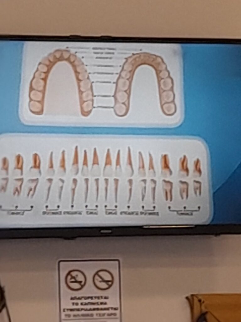 IMG 4c40176a824236e6890825105e50de59 V