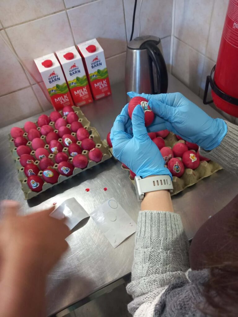 f6bb87f8 8f5b 4e4b a66e 7d38c204964e