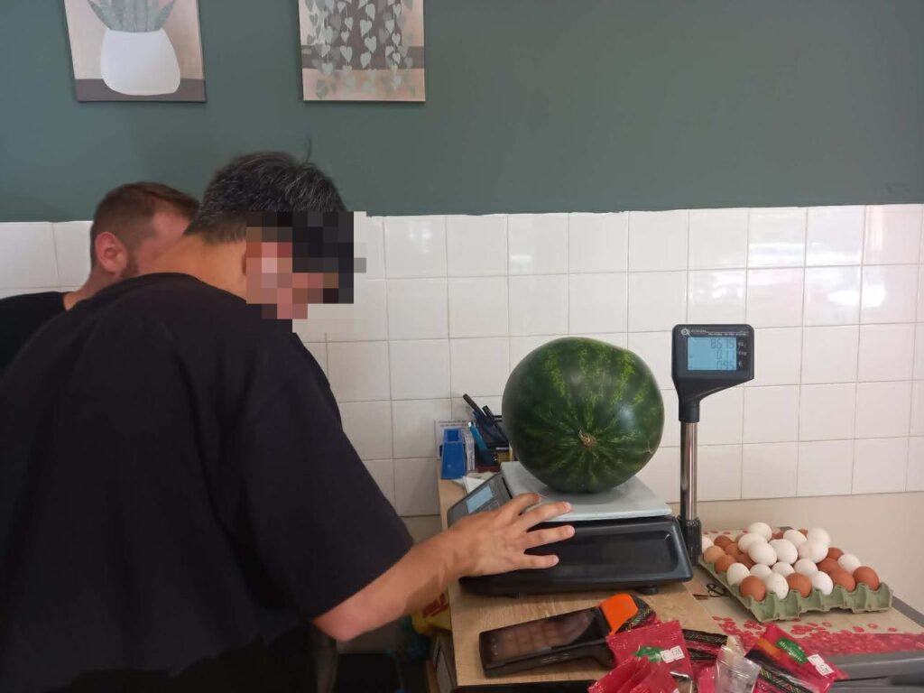Επίσκεψη σε τοπικό μανάβικο με τα παιδιά από το ΚΦΑΑ της Μακρινίτσας 6 67910fdb fbcb 45c2 9ff3 dc4d8f084bdd censored